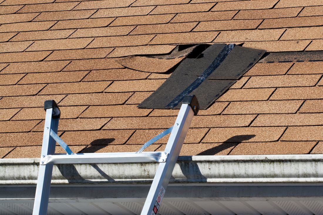 Asphalt shingles are being removed from a damaged roof and will be replaced by Spring Hill Roofers.